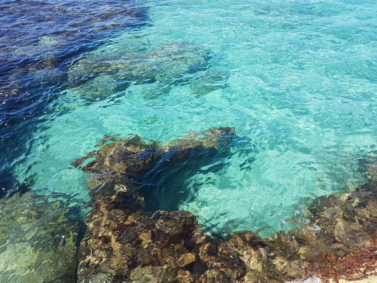 Suite Mariagiulia Monopoli Bagian luar foto